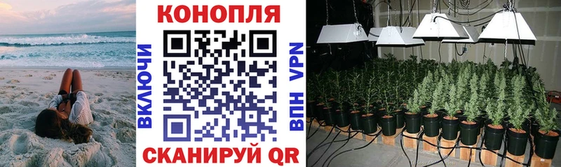 hydra зеркало Новопавловск Конопля планчик